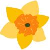 Decorative daffodil icon