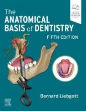 The cover of Anatomical Basis of Dentistry